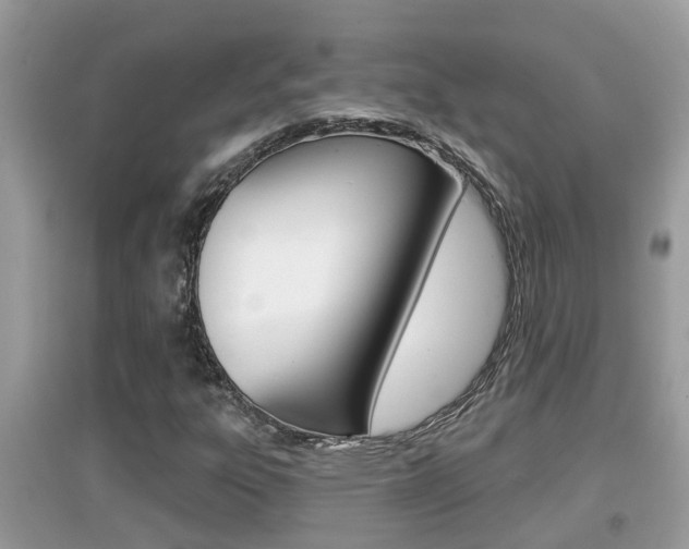X0000095111303200712070909