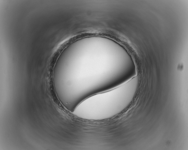 X0000095111304200712070910