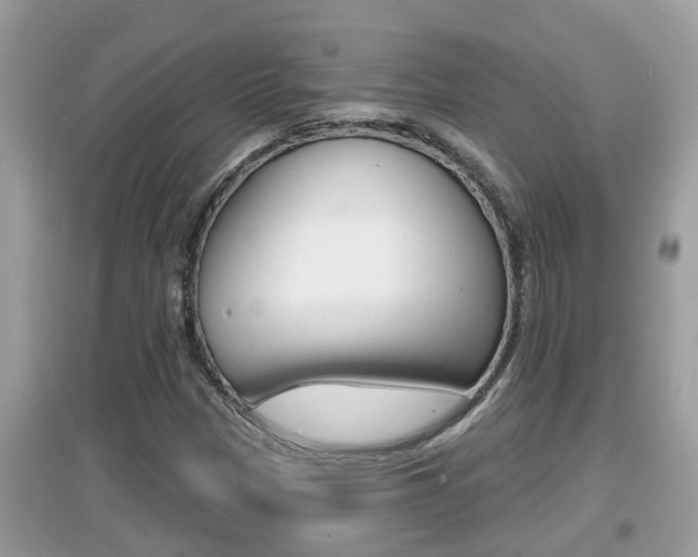 X0000095111305200712070910