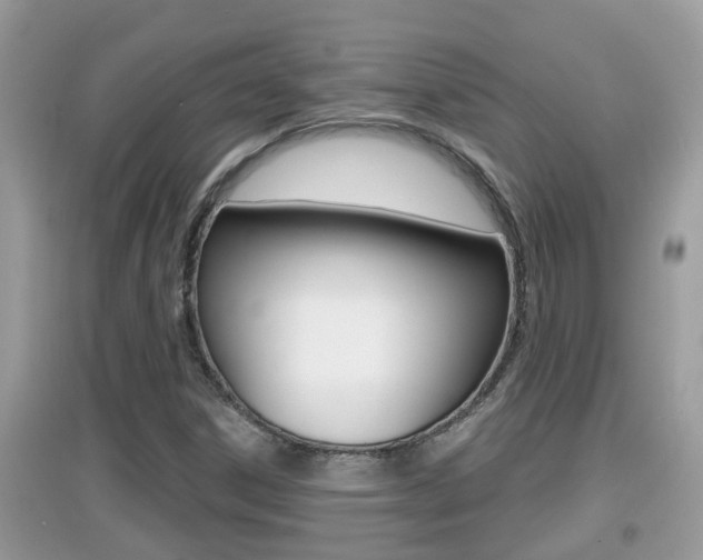 X0000095111306200712070910