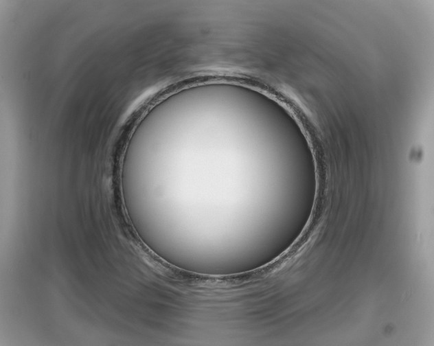 X0000095111307200712070910