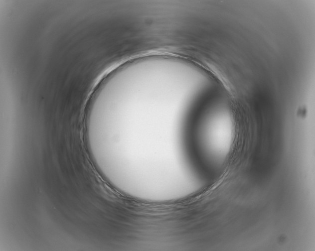 X0000095111308200712070910