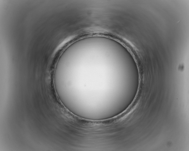X0000095111309200712070910