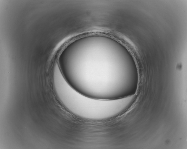 X0000095111310200712070910