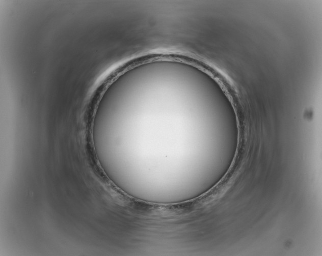 X0000095111311200712070910