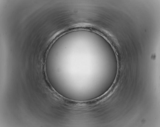 X0000095111313200712070910
