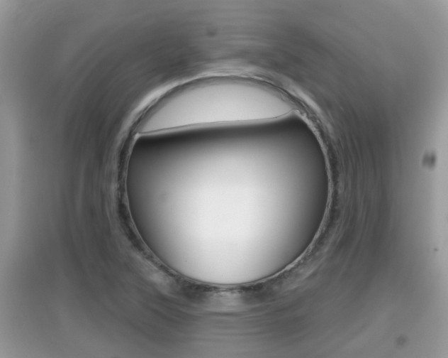 X0000095111315200712070910