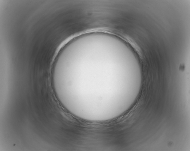 X0000095111316200712070910