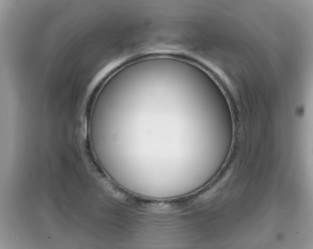X0000095111317200712070910