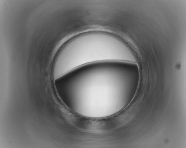 X0000095111318200712070910