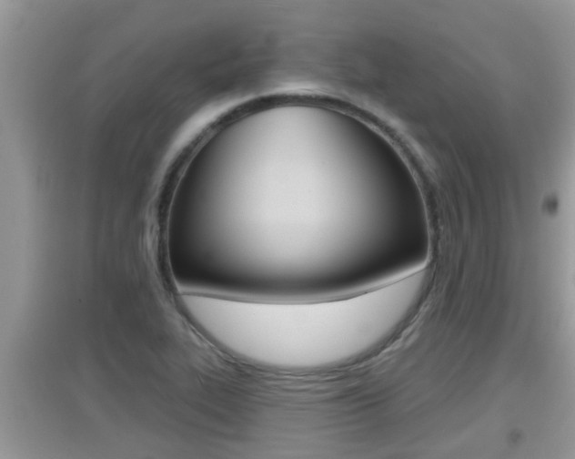 X0000095111319200712070910