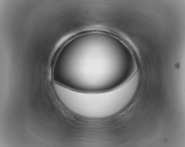 X0000095111320200712070910