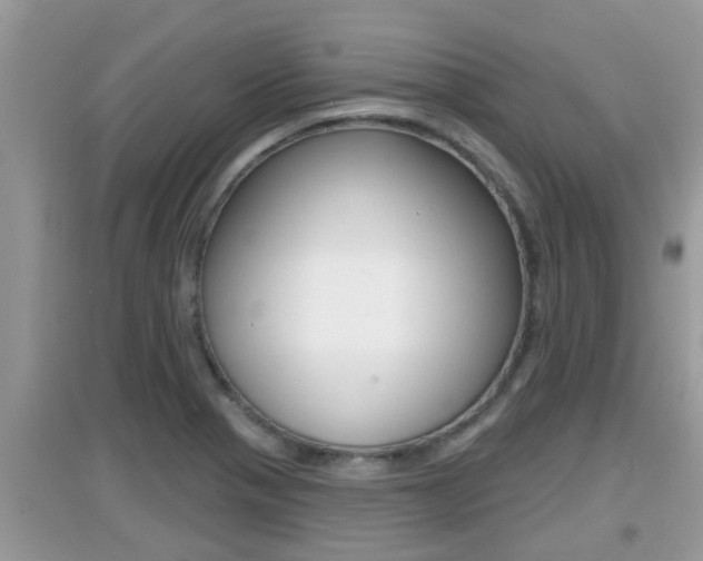 X0000095111321200712070910