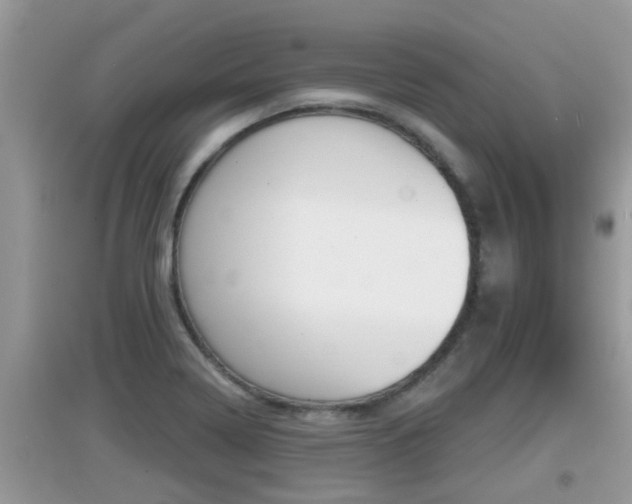 X0000095111322200712070910