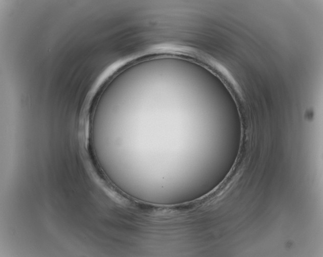 X0000095111323200712070910
