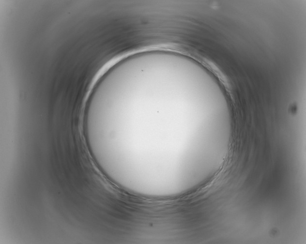 X0000095111324200712070910