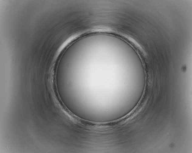 X0000095111325200712070910