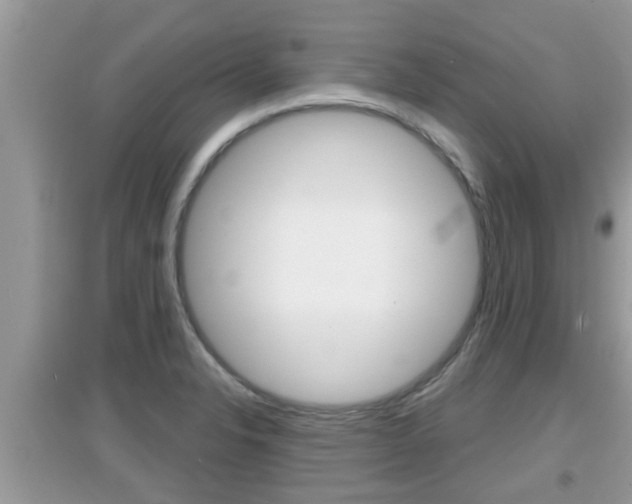X0000095111326200712070910