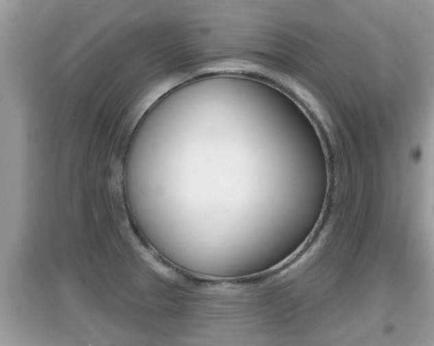 X0000095111329200712070910