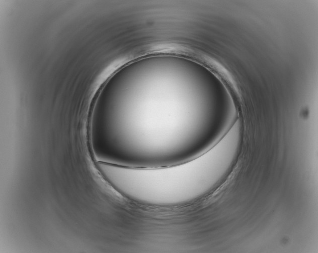 X0000095111330200712070910