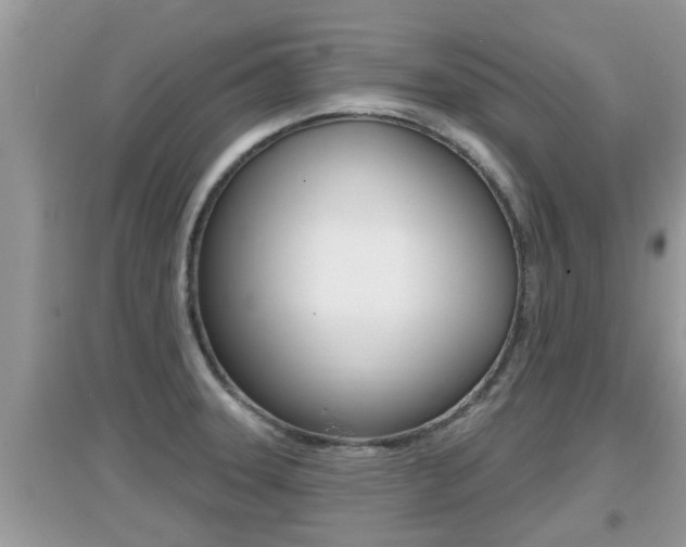 X0000095111331200712070910