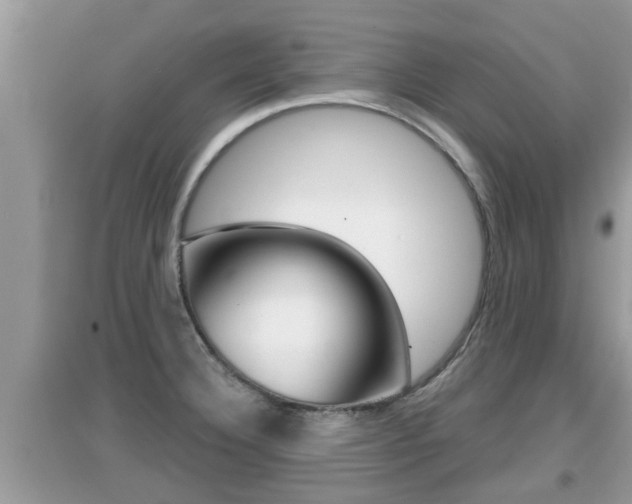 X0000095111332200712070910