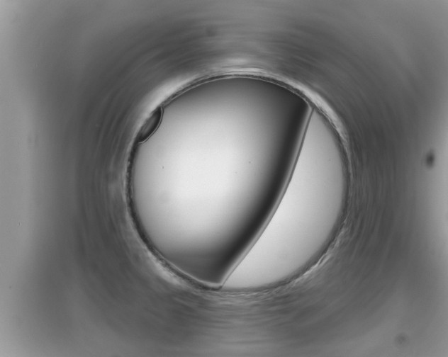 X0000095111333200712070910