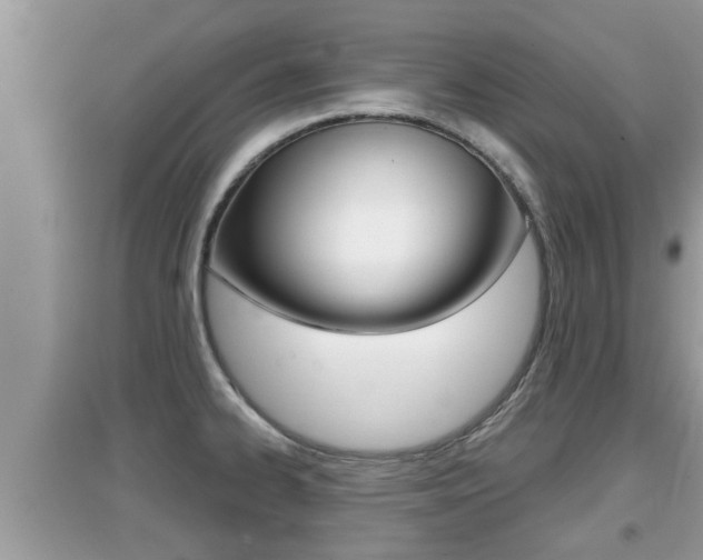 X0000095111334200712070910
