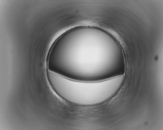 X0000095111335200712070910