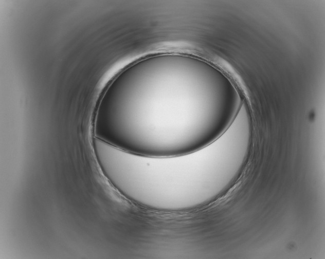 X0000095111336200712070910