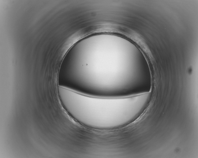 X0000095111337200712070910