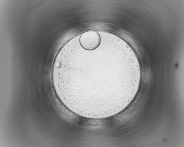 X0000095111338200712070910