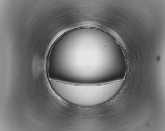 X0000095111339200712070910