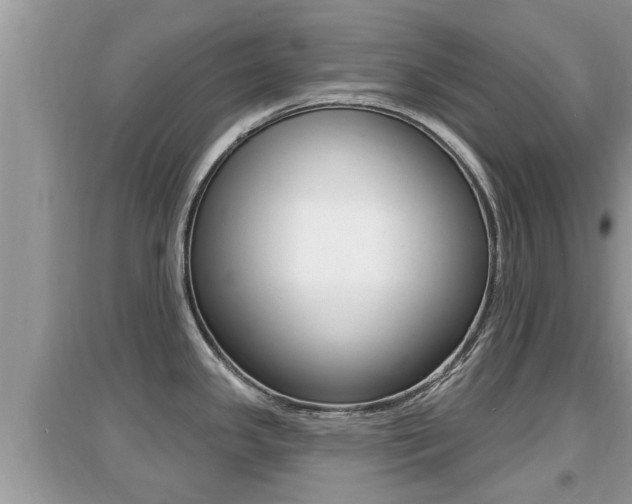 X0000095111341200712070910
