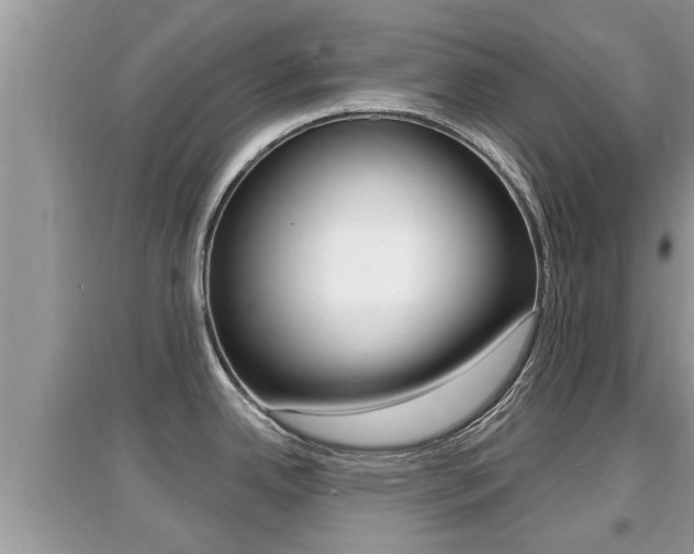 X0000095111342200712070910