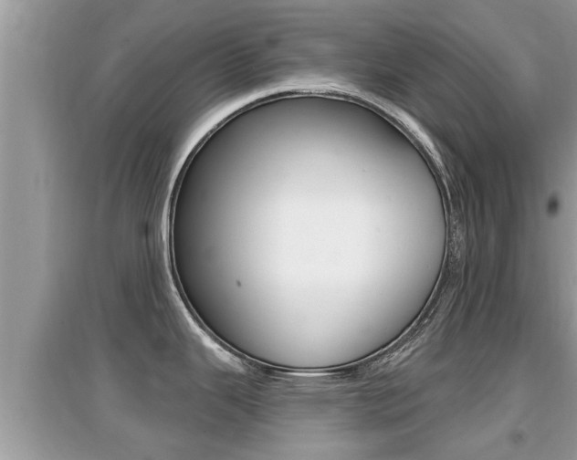 X0000095111343200712070910
