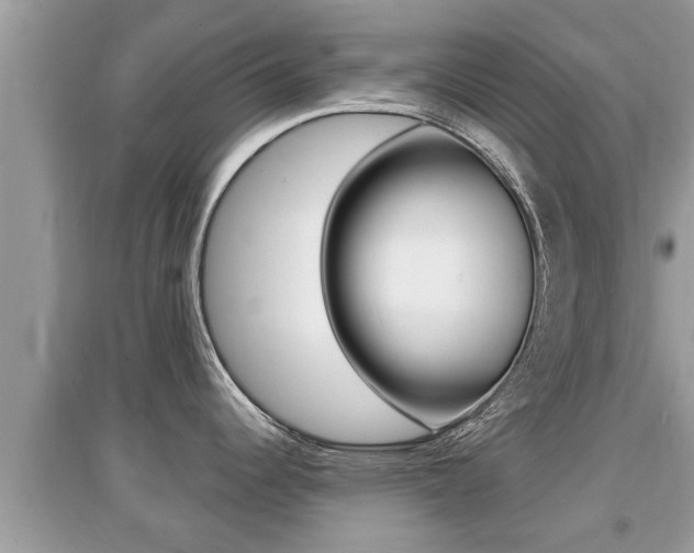 X0000095111344200712070910