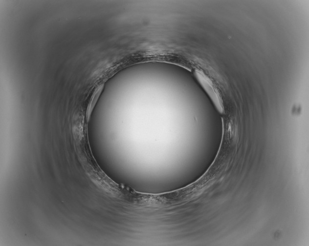 X0000095111348200712070909
