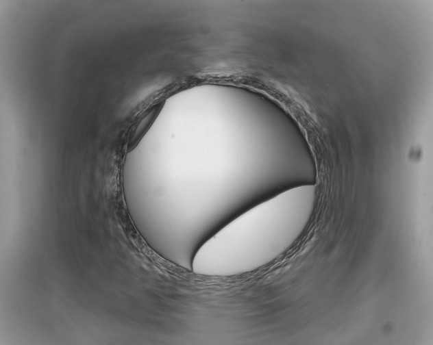 X0000095111350200712070909