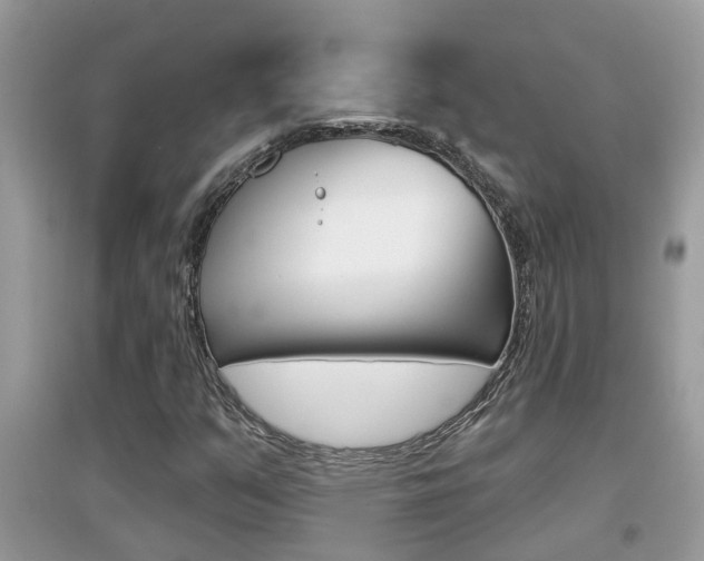 X0000095111351200712070909