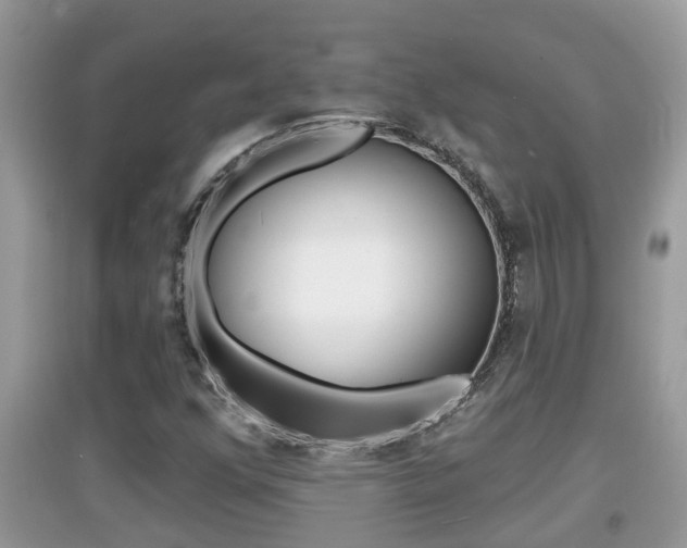 X0000095111352200712070909