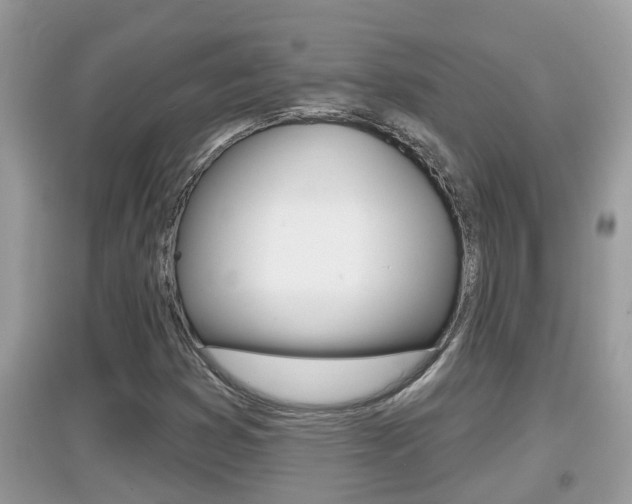 X0000095111353200712070909