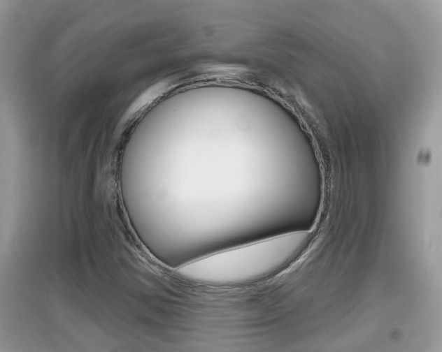 X0000095111354200712070909