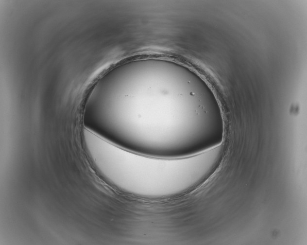 X0000095111355200712070909