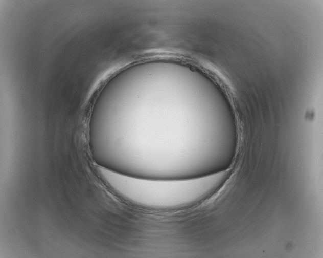 X0000095111357200712070909