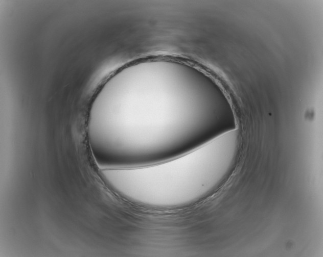 X0000095111359200712070909