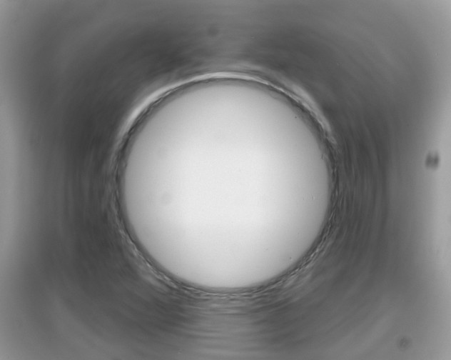 X0000095111360200712070909