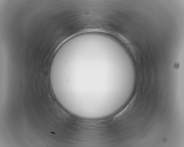 X0000095111361200712070909