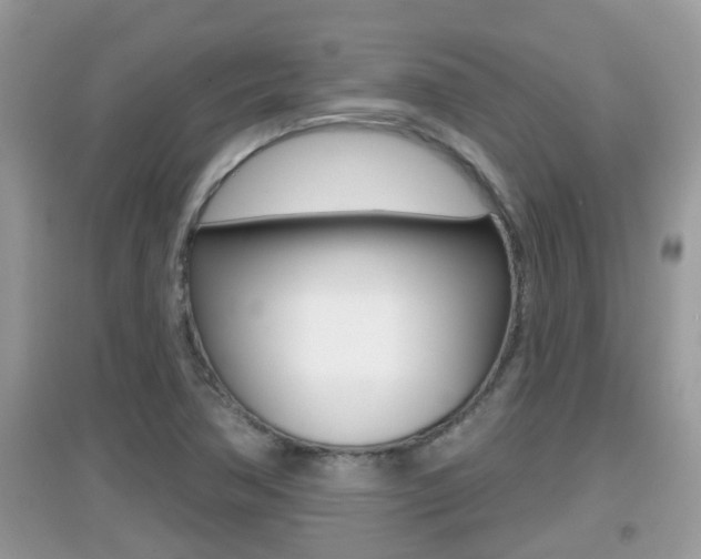 X0000095111362200712070909