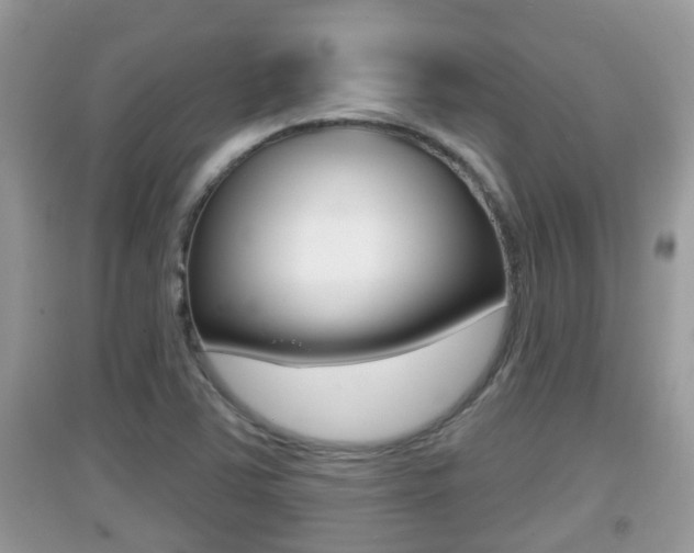 X0000095111363200712070909